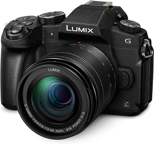Panasonic lumix g digital camera.