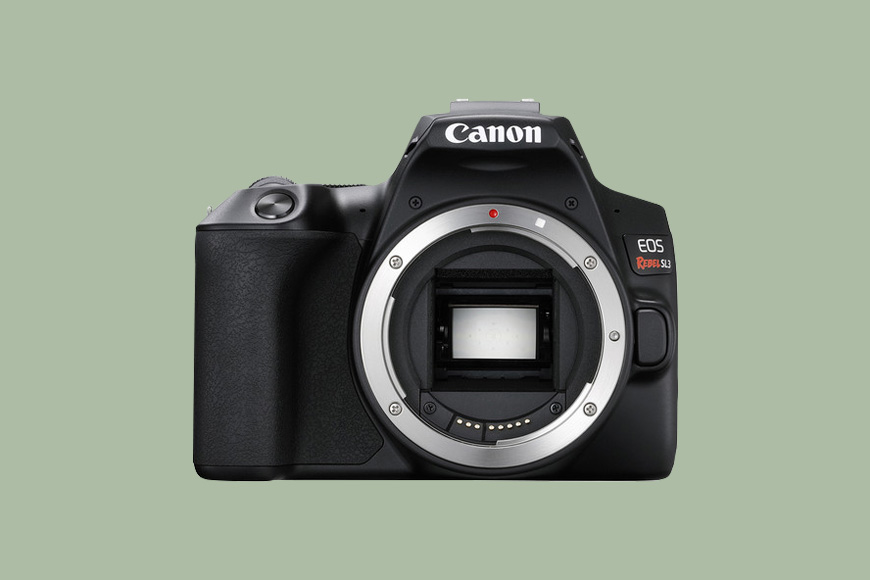 A Canon EOS Rebel SL3 on a green back ground