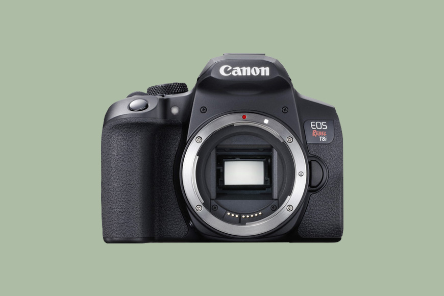 A Canon EOS Rebel T8i / 850D on a green back ground.
