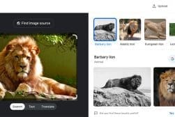 reverse instagram image search