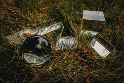 A group of glass objects laying in the grass.