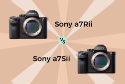 Sony A7S II vs A7R II