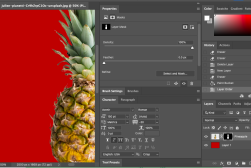 properties panel of a pineapple in adobe photoshop.